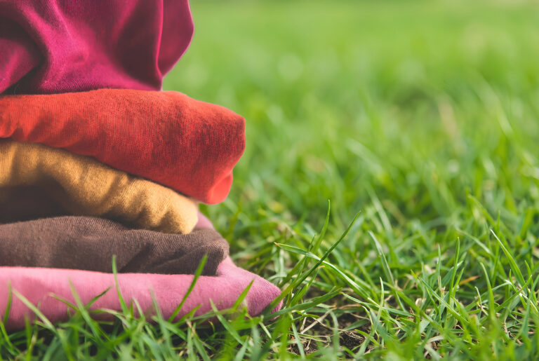 ORGANIC-envato-labs-image-edit